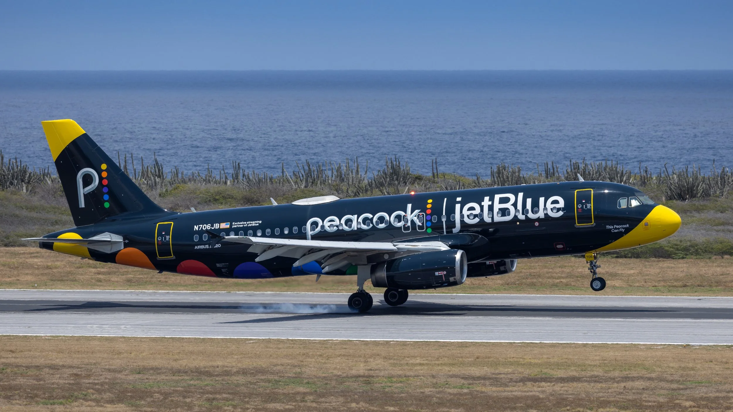 JetBlue Airbus A320-232 N706JB 
